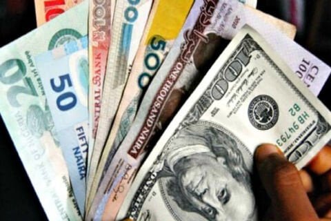 Naira exchange rates August 2023 - SME BusinessHub